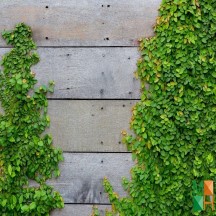 Tranh dán tường cho phòng khách đẹp tại Hà Nội NA - 033